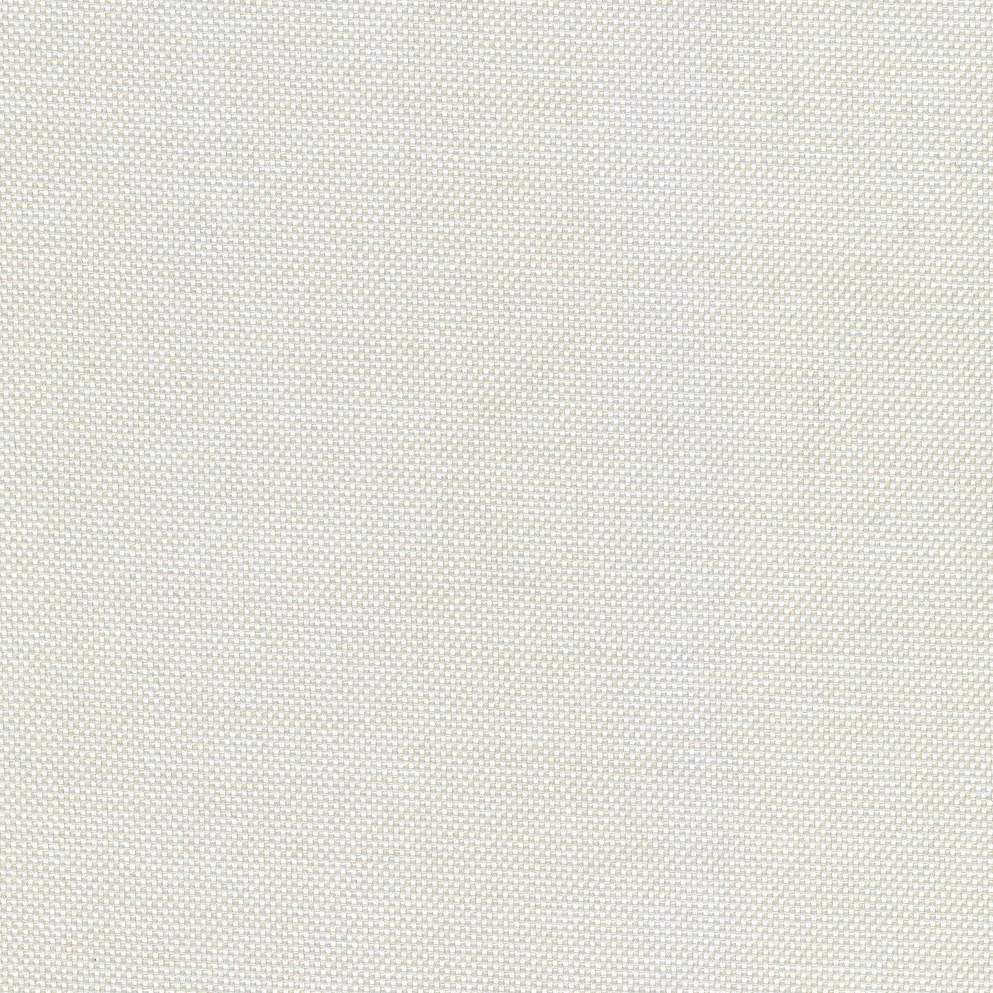 55" SENS D-025 Eternal Seashell