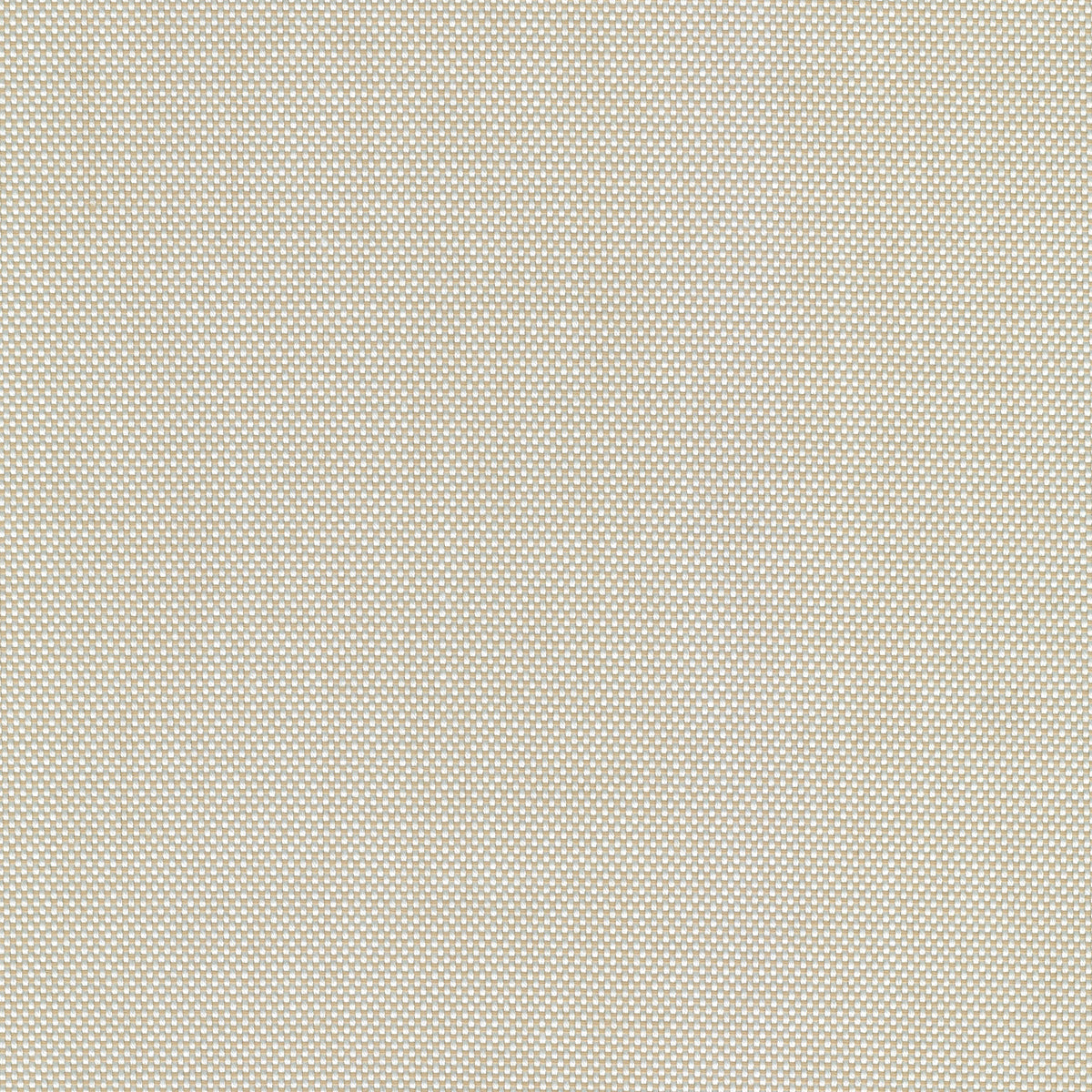 55" SENS D-028 Eternal Wheat