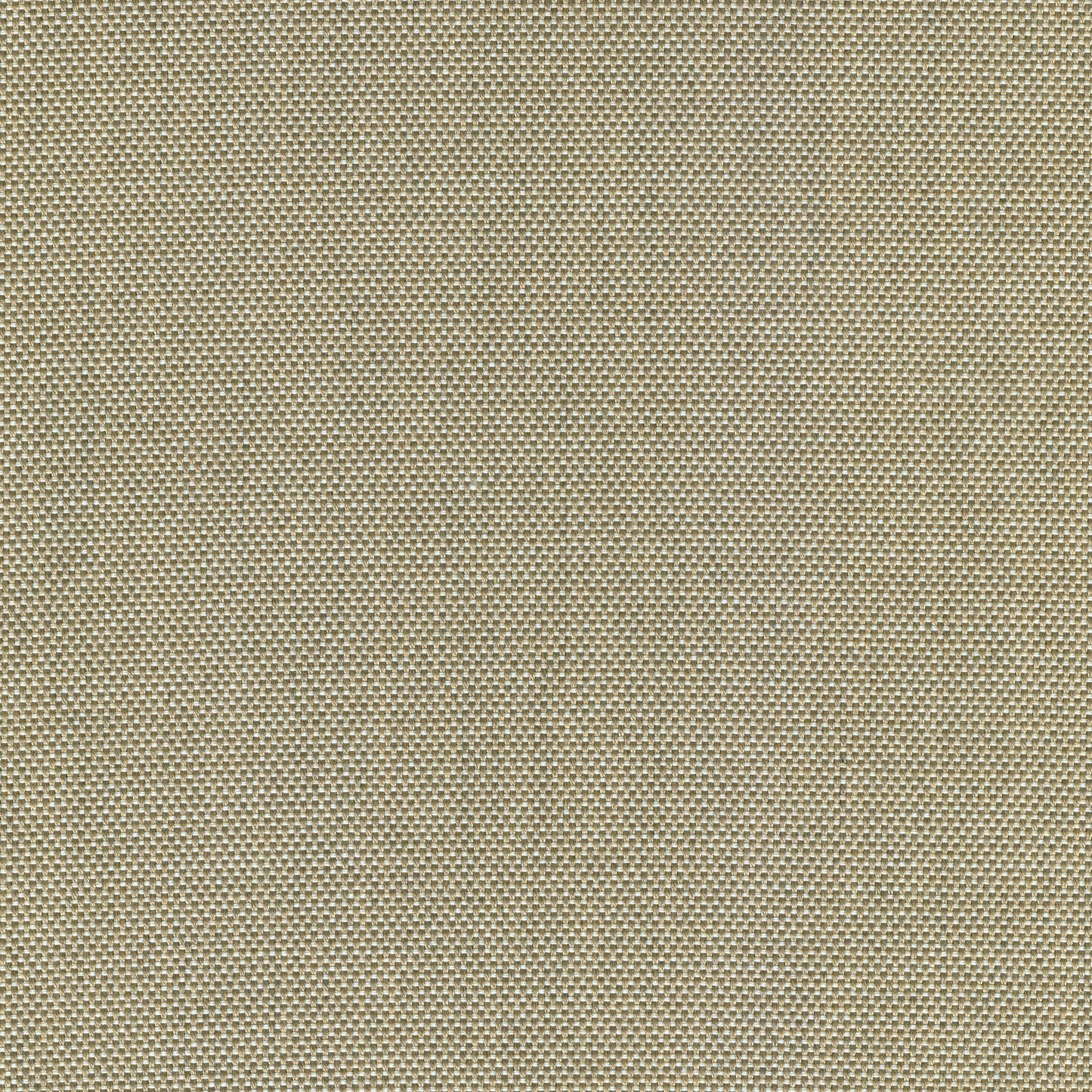 55" SENS D-116 Eternal Oat