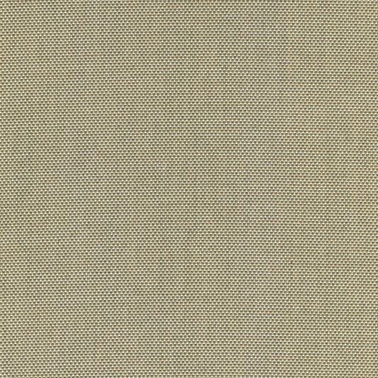 55" SENS D-116 Eternal Oat