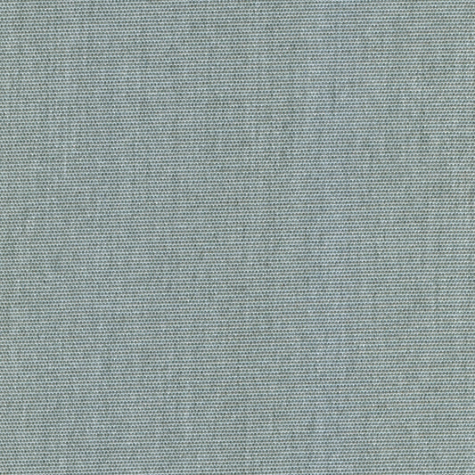 55" SENS D-196 Eternal Titanium