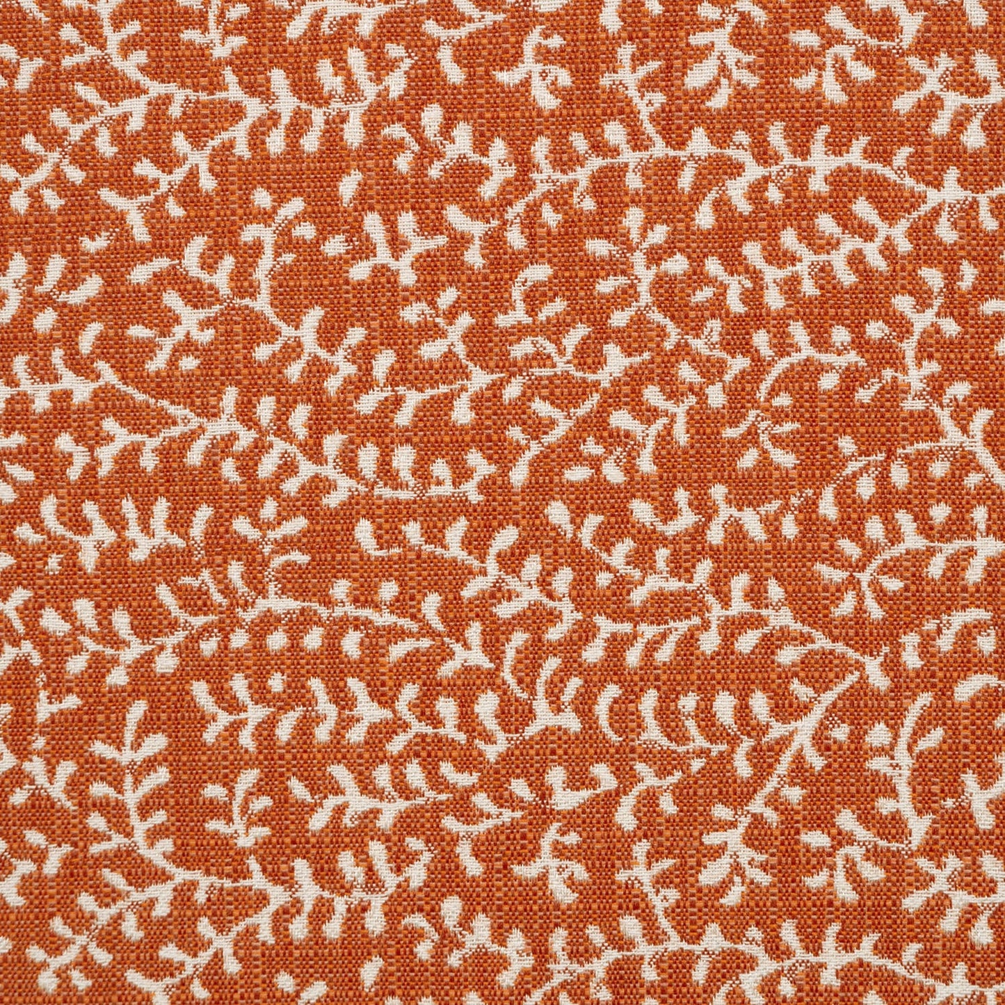 Eberly Clay 146266-0001