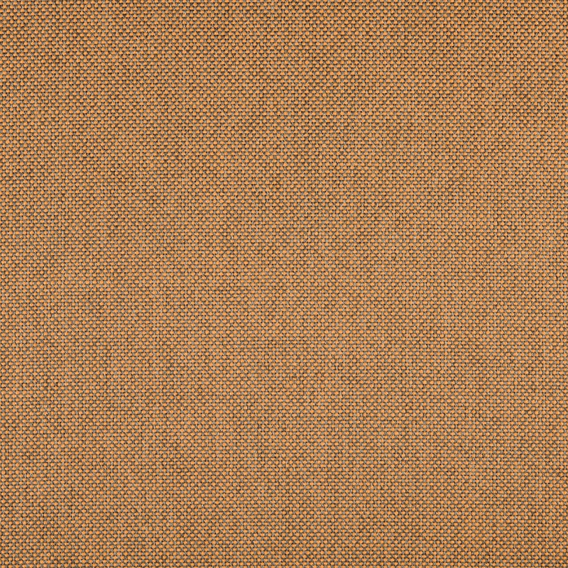 Panama Tangerine 8000-100