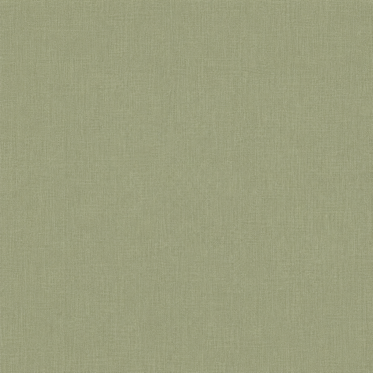 Almond SJA 3983