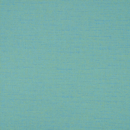 Rally Aqua 87005-0007