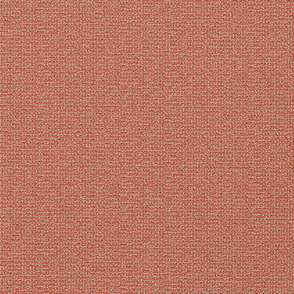 Sprinkles Pumpkin 93039