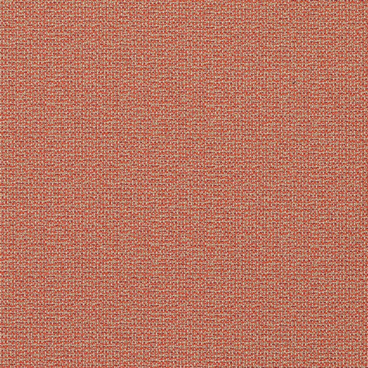 Sprinkles Pumpkin 93039