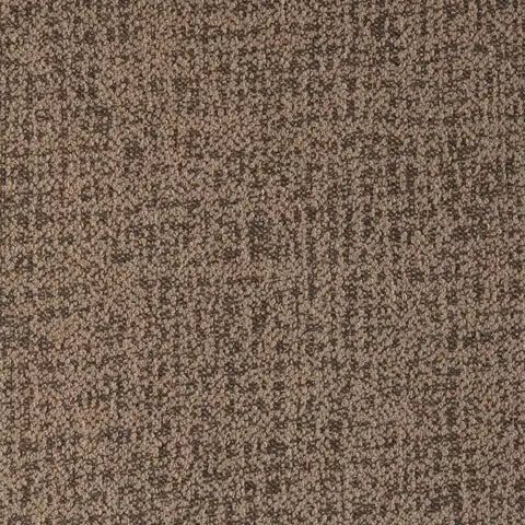 Abstraction Fossil 370041-0005