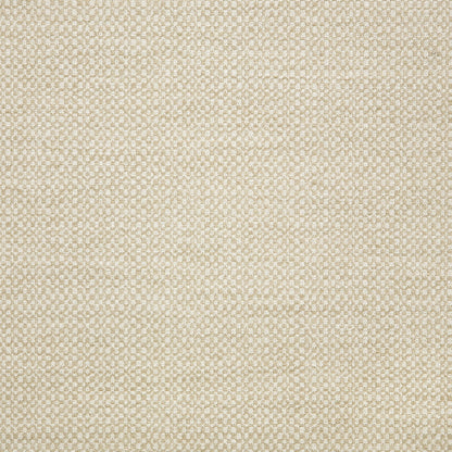 Action Ash 44285-0001