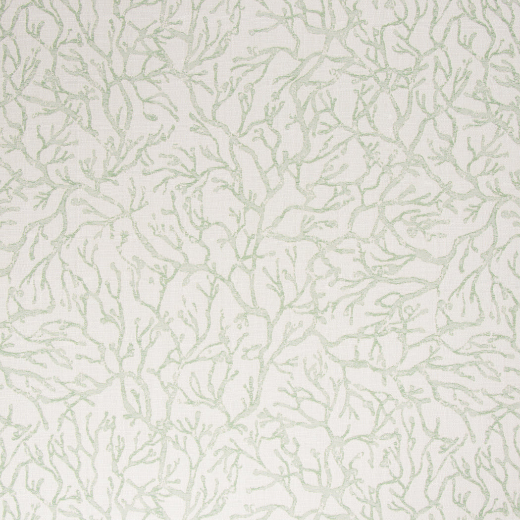 Light green Coral pattern on a white background