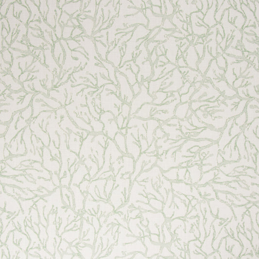 Light green Coral pattern on a white background