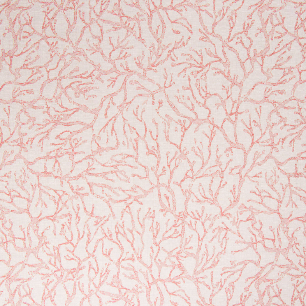 Pink coral pattern on a white background