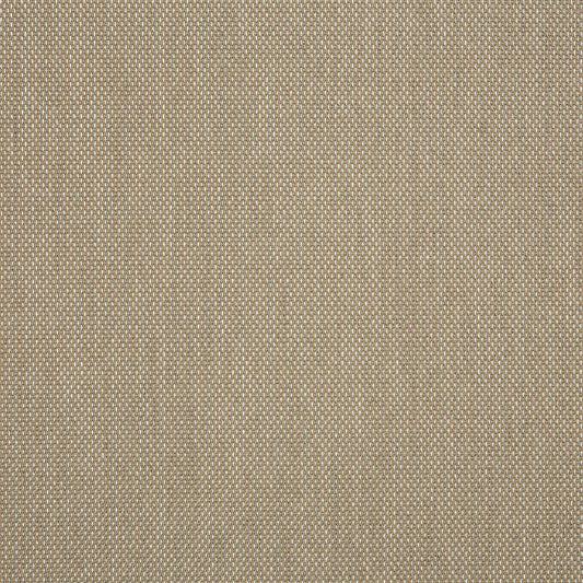 Augustine Ashe 5928-0054