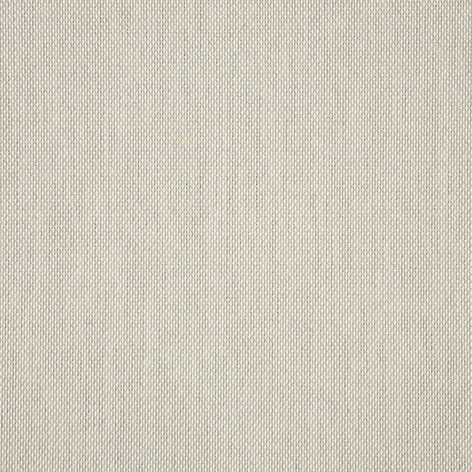 Augustine Oyster 5928-0045