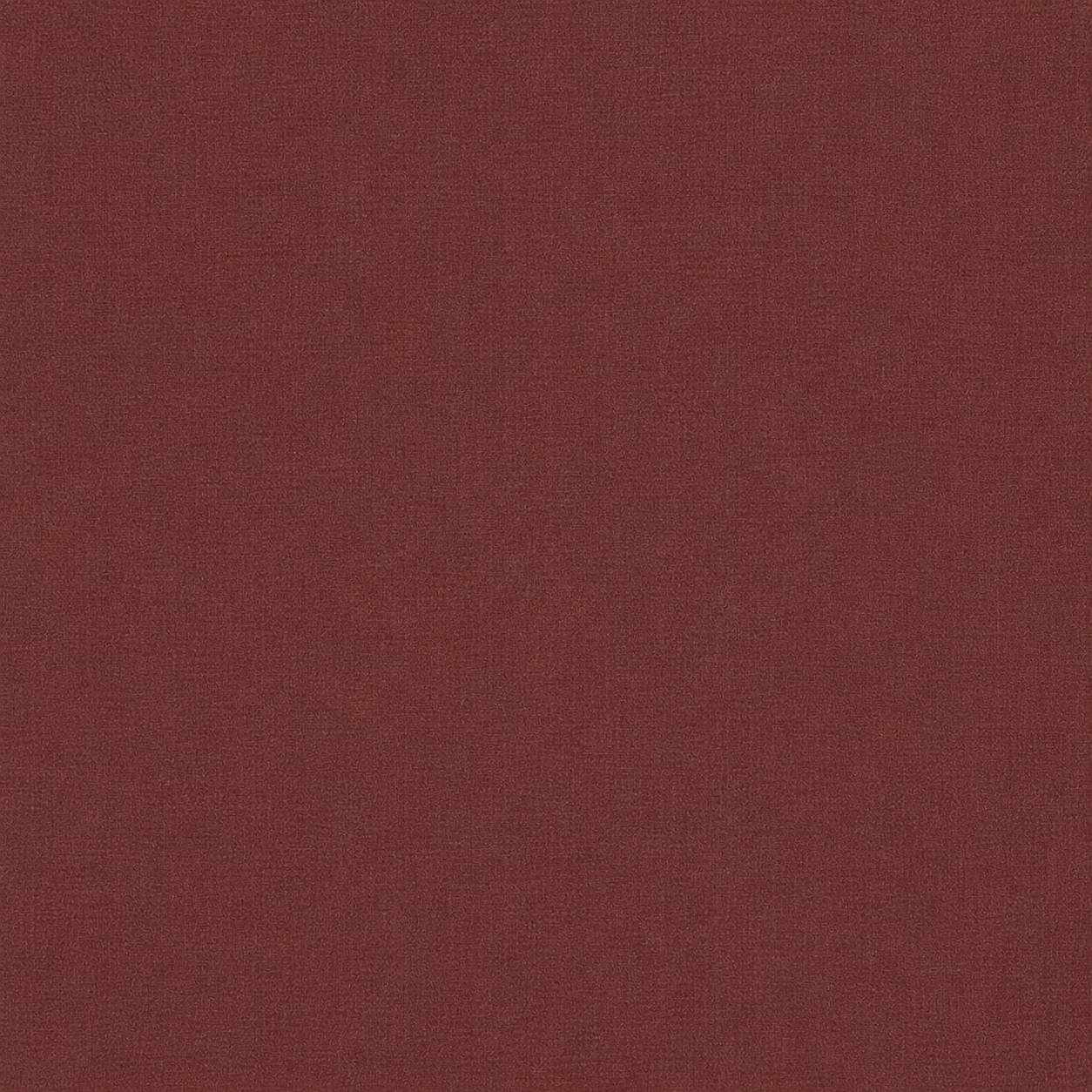 Autumn SJA 3982