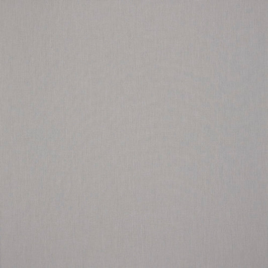 Solid light gray color swatch