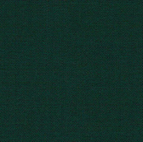 Solid dark green color swatch