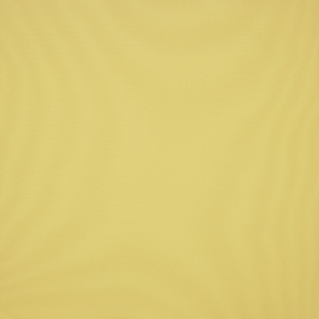 Solid light yellow color swatch