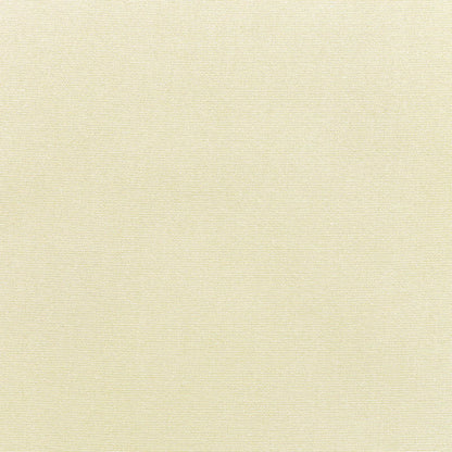 Sunbrella® Outdoor / Indoor Drapery Panel Canvas Canvas 5453-0000