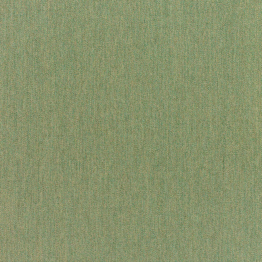Sunbrella® Outdoor / Indoor Drapery Panel Canvas Fern 5487-0000