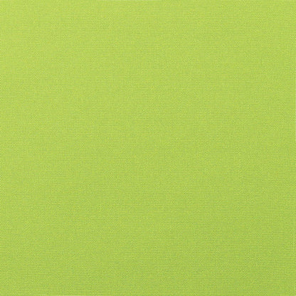 Canvas Macaw 5429-0000