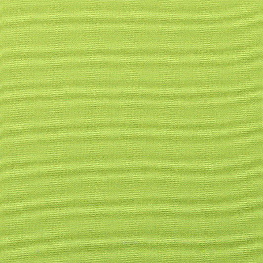 Canvas Macaw 5429-0000