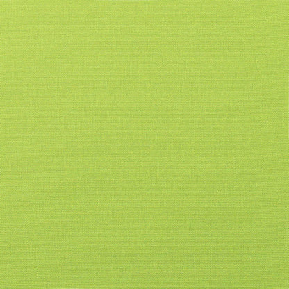 Sunbrella® Outdoor Throw Pillow Canvas Macaw 5429-0000