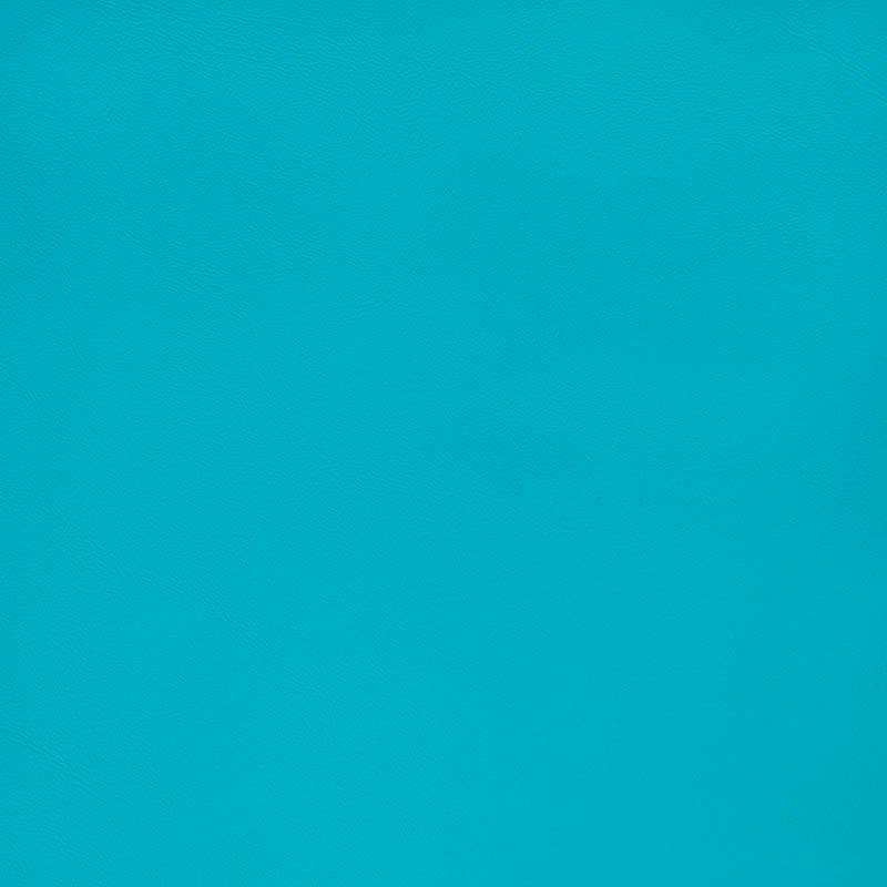 Horizon Capriccio Aruba 10200-0022 Foam Back Marine Vinyl Upholstery Fabric