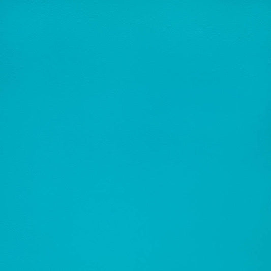 Horizon Capriccio Aruba 10200-0022 Foam Back Marine Vinyl Upholstery Fabric