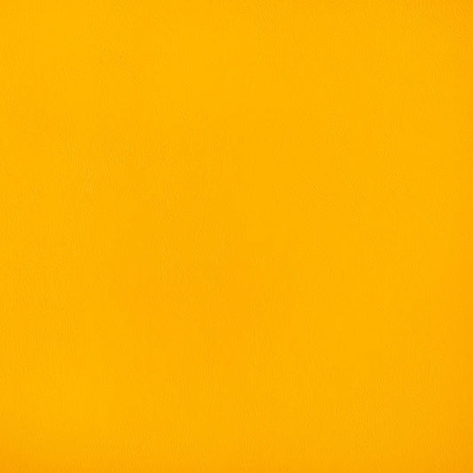 Horizon Capriccio Doubloon 10200-0023 Marine Vinyl Upholstery Fabric