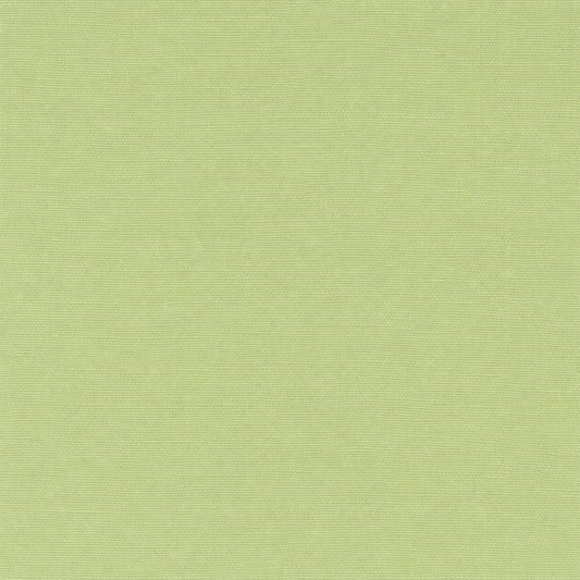 118-9117 Lime