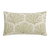 Sea Coral
