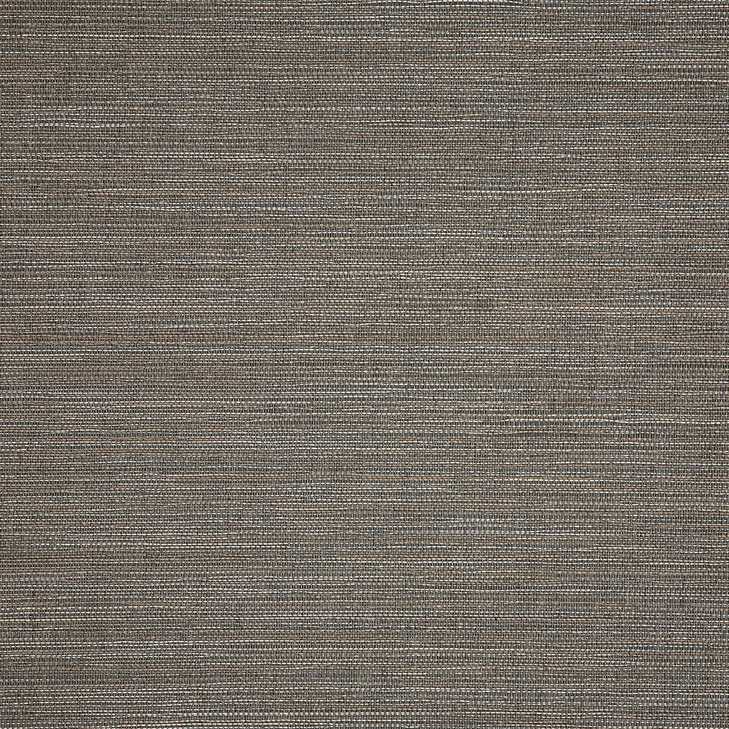 Collect Charcoal 50203-0003