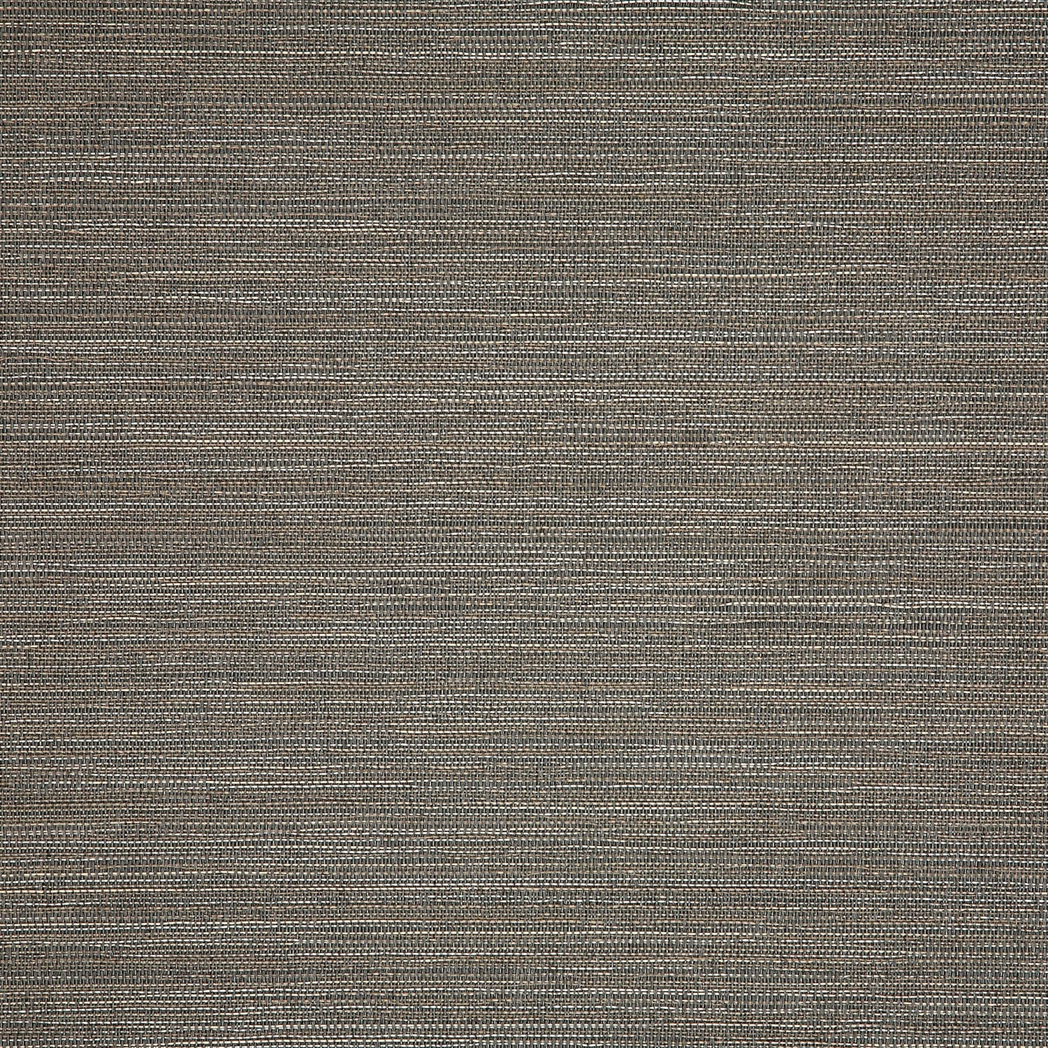 Collect Charcoal 50203-0003