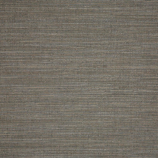 Collect Charcoal 50203-0003