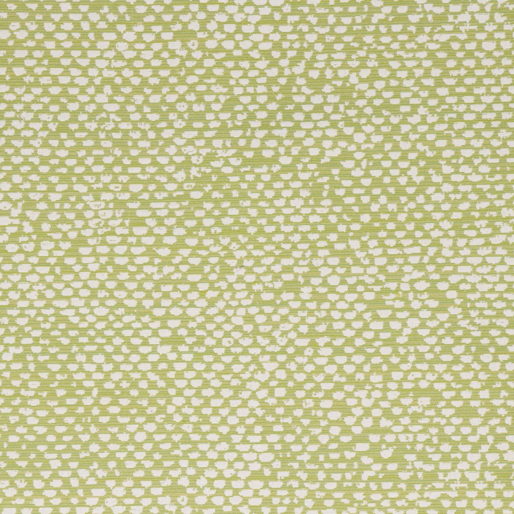 Textured green and white patterned fabric