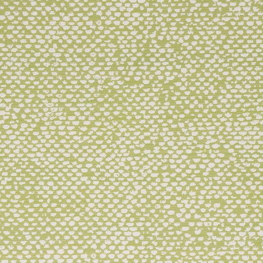 Textured green and white patterned fabric