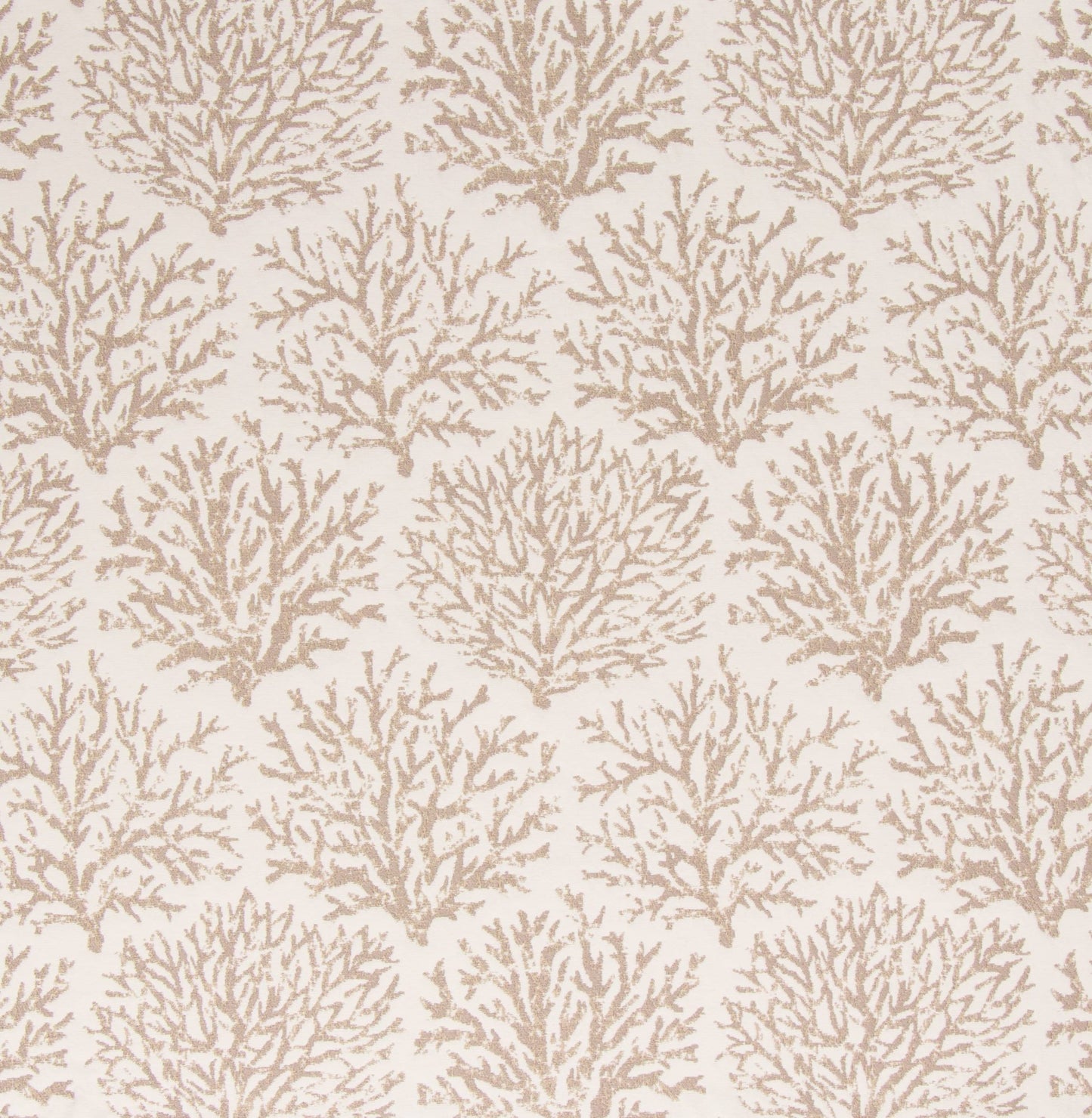 Pattern of beige coral branches on a light beige background