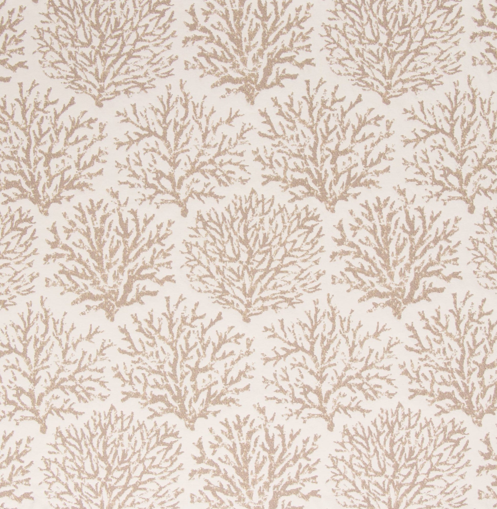 Pattern of beige coral branches on a light beige background
