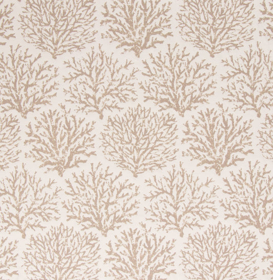 Pattern of beige coral branches on a light beige background