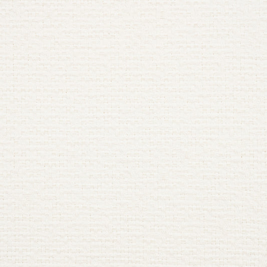 Solid light gray color swatch