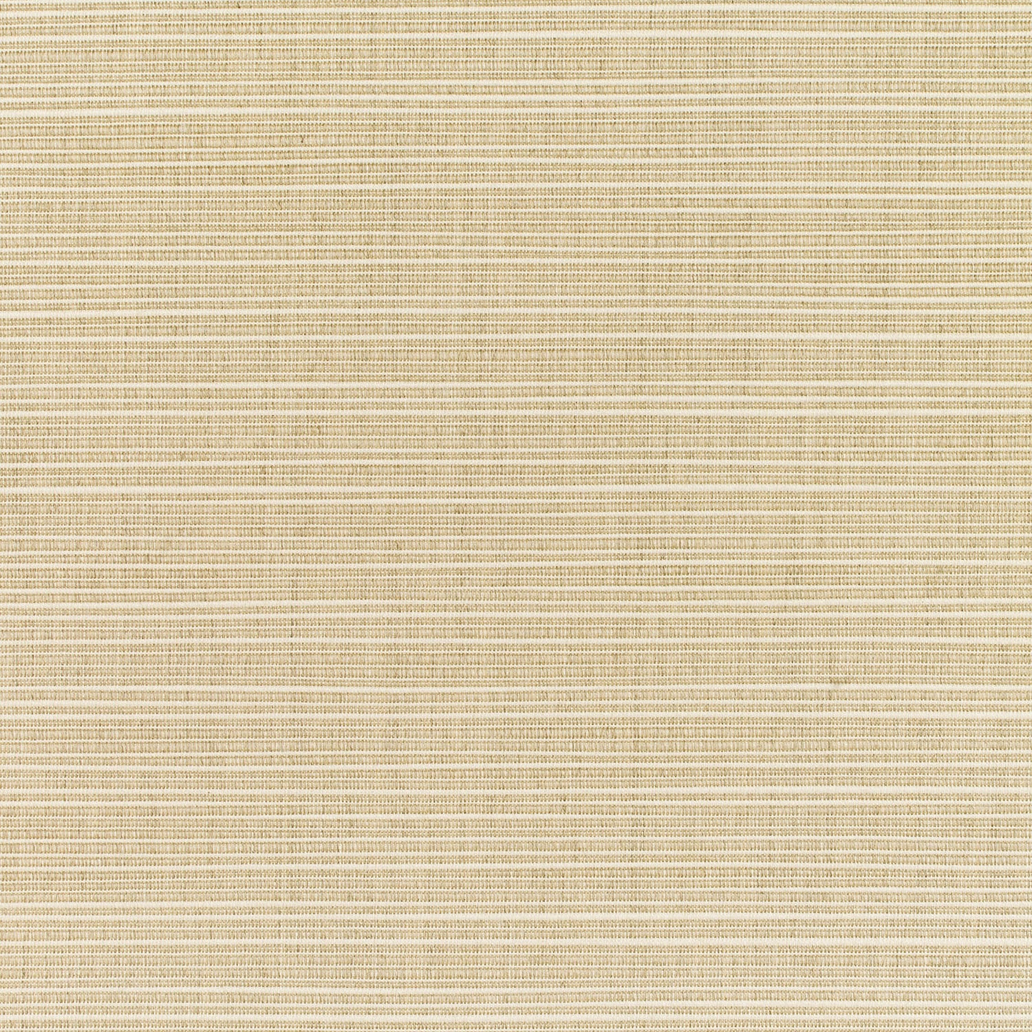 Dupione Sand 8011-0000 fabric image