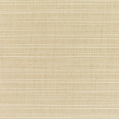 Dupione Sand 8011-0000 fabric image