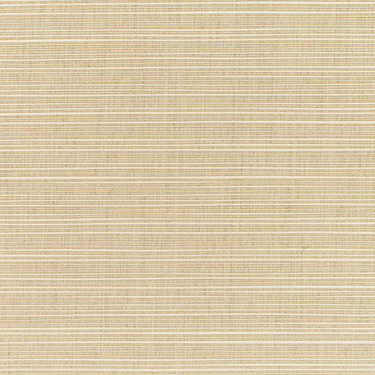 Dupione Sand 8011-0000 fabric image
