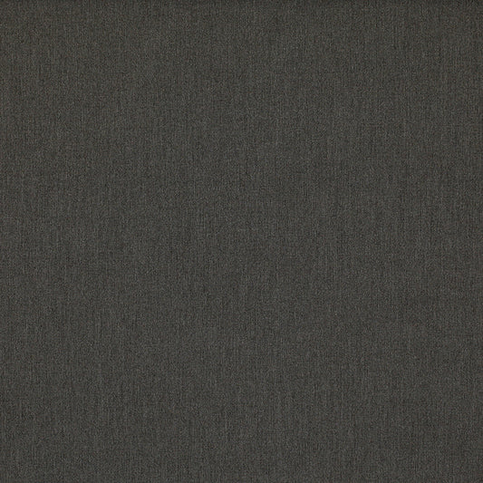 Solid dark gray color swatch