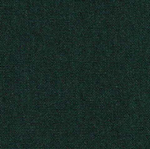 Solid dark green color swatch