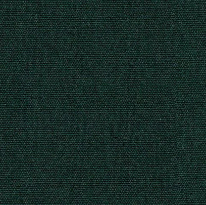 Solid dark green color swatch