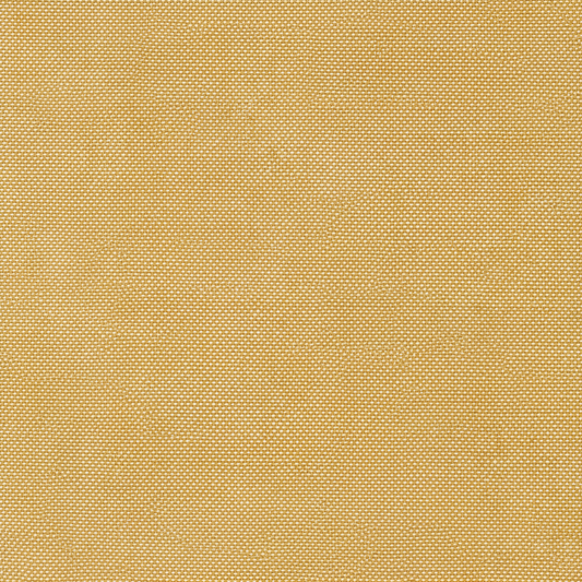 Light_Orange_Sheer_Fabric