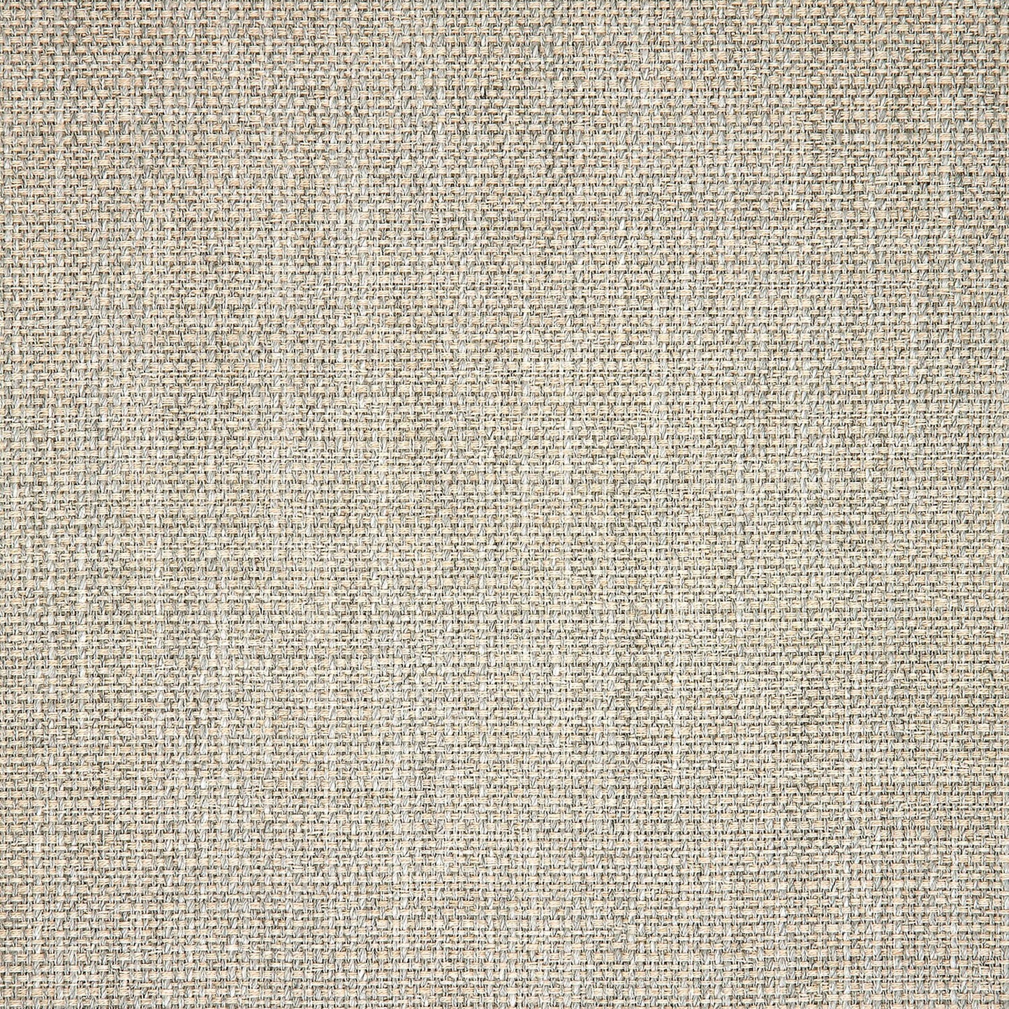 Linville Oyster 145707-0007