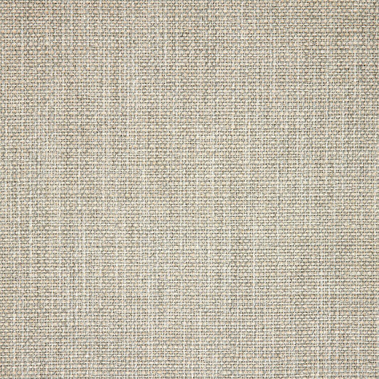 Linville Oyster 145707-0007